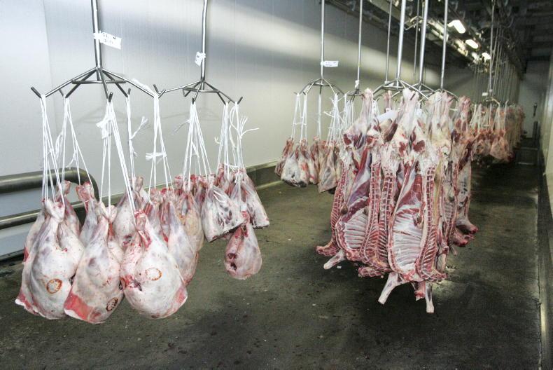 Sheep kill up almost 5% for first half of 2023 – CSO Sheep kill up almost 5% for first half of 2023 – CSO