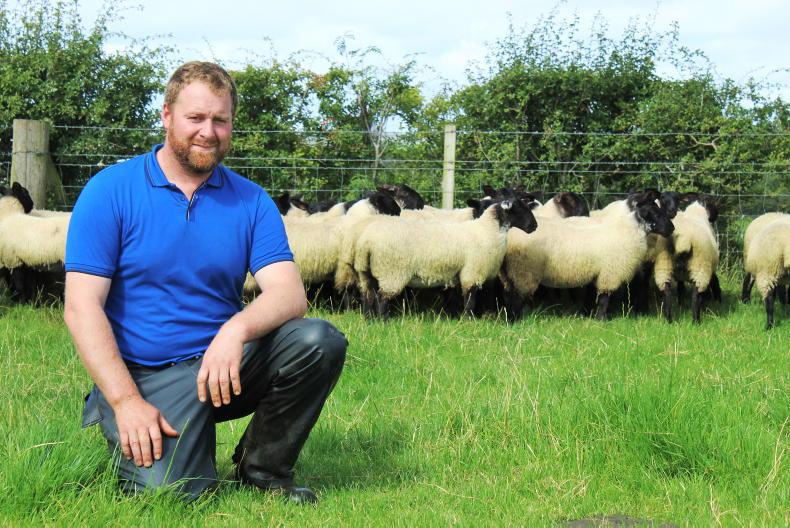 My Farming Week Alwyn McFarlane, Dungiven, Co Derry Free