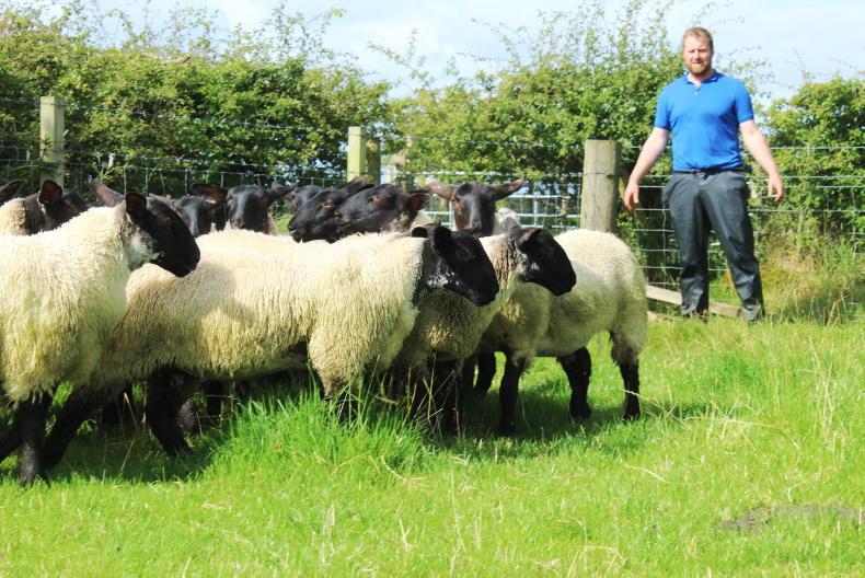 My Farming Week Alwyn McFarlane, Dungiven, Co Derry Free