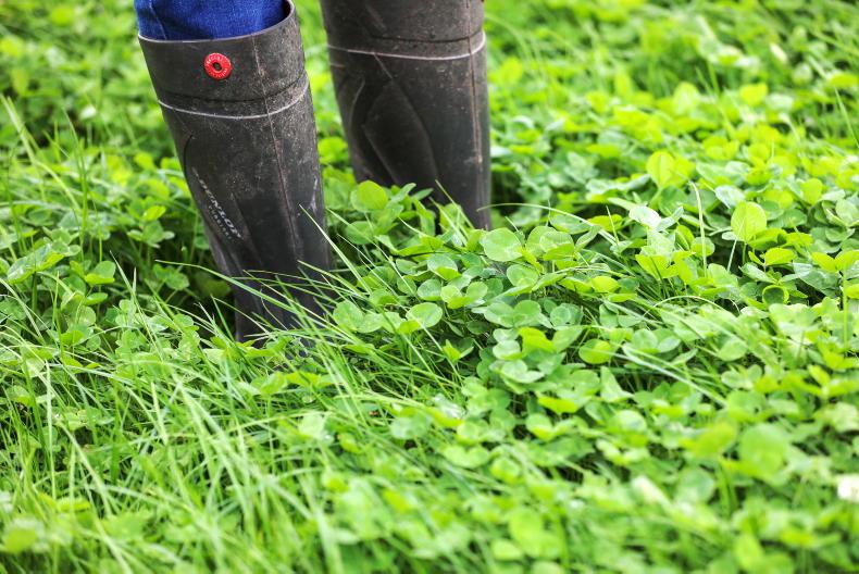 Dairy Management: bloat, wet weather and flexible milking Dairy Management: bloat, wet weather and flexible milking