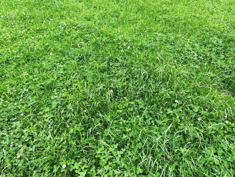 Dairy Management: ways of preventing bloat in cows Dairy Management: ways of preventing bloat in cows