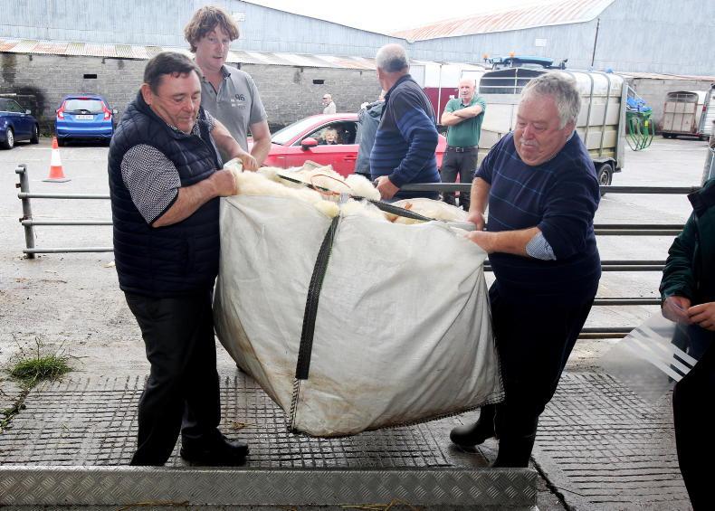 Putting the Irish back into Irish wool Putting the Irish back into Irish wool