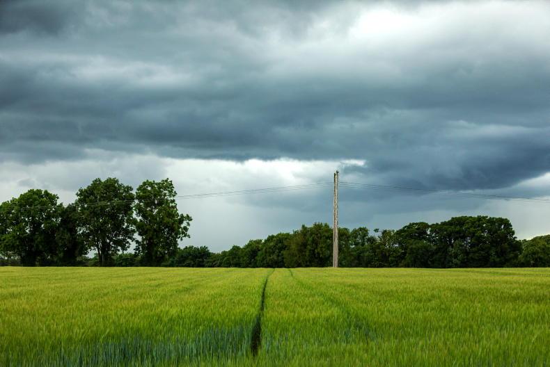 Almost 80% of farmers fear income drop in 2023 Almost 80% of farmers fear income drop in 2023
