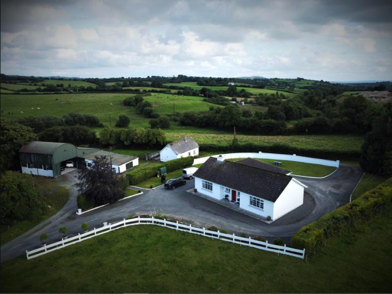 43ac Laois farm with second house 43ac Laois farm with second house