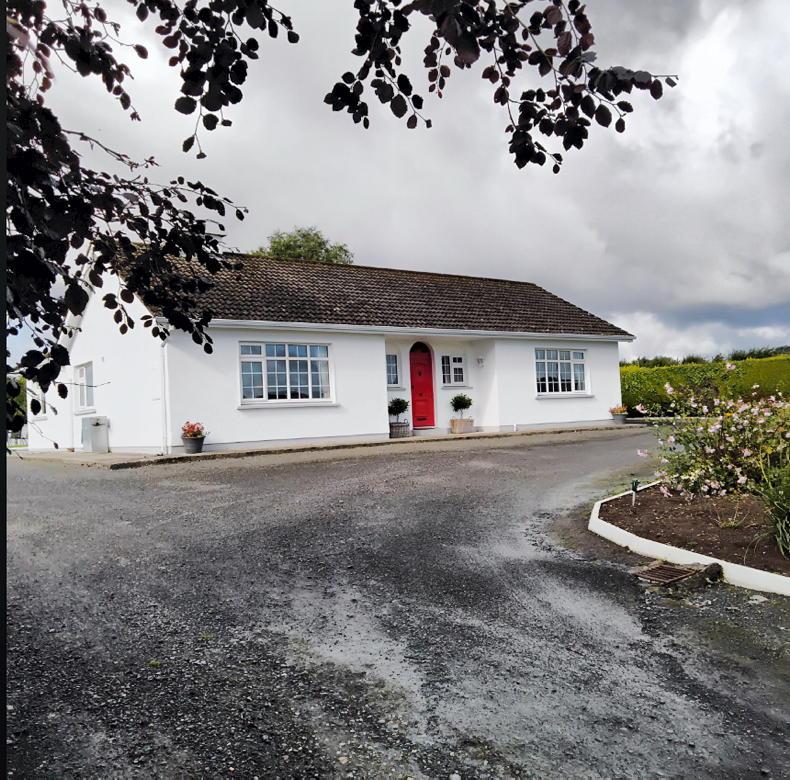 43ac Laois farm with second house 43ac Laois farm with second house
