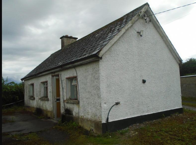 43ac Laois farm with second house 43ac Laois farm with second house