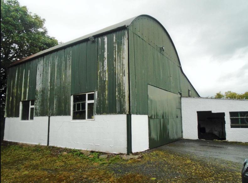 43ac Laois farm with second house 43ac Laois farm with second house