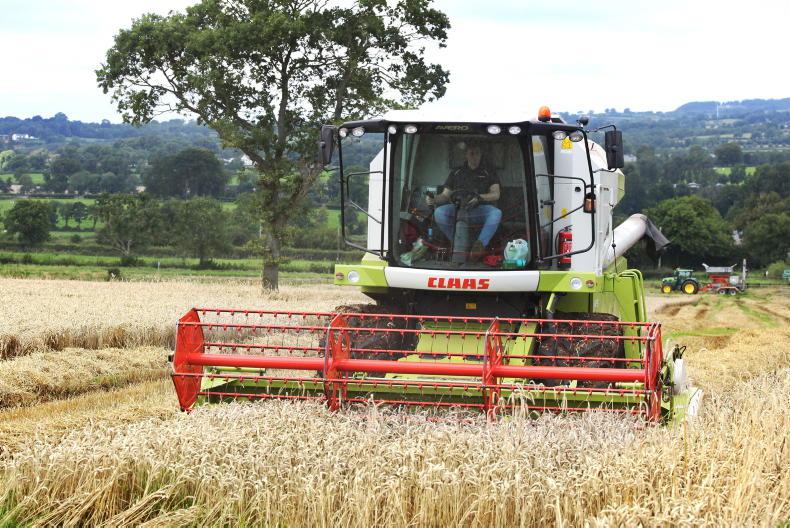 Spring barley breaks down and green grains cause more issues Spring barley breaks down and green grains cause more issues