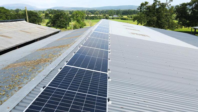 Editorial: light at last in solar with long-awaited scheme Editorial: light at last in solar with long-awaited scheme