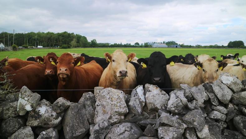 2.47m cattle moved permanently off farms in 2022 2.47m cattle moved permanently off farms in 2022