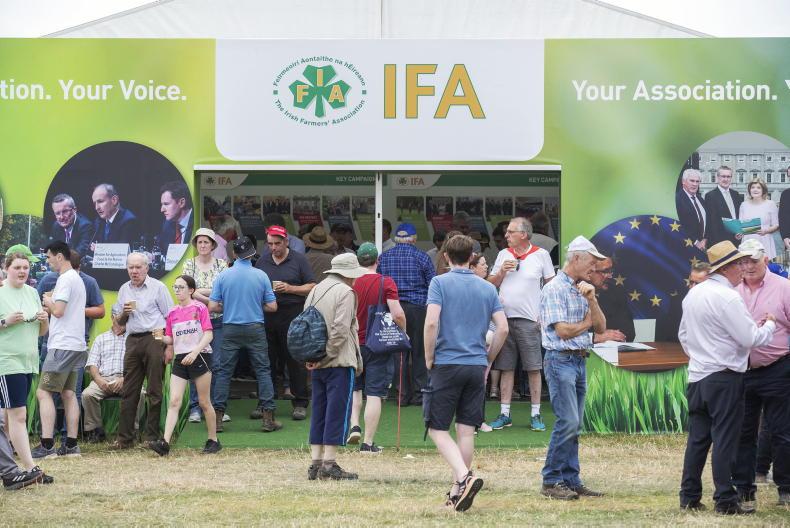 Tullamore Show a welcome break from very difficult summer - IFA 