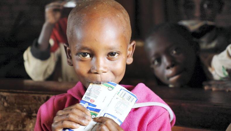 UN World Food Programme director to meet with Oireachtas agriculture committee UN World Food Programme director to meet with Oireachtas agriculture committee
