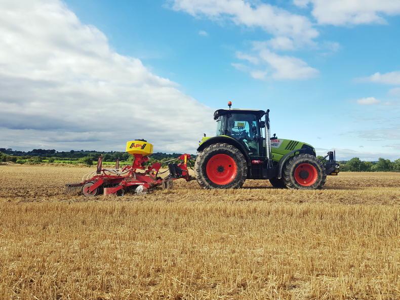 IFA calls for solutions to 'excessive' catch crop lie-back rules IFA calls for solutions to 'excessive' catch crop lie-back rules