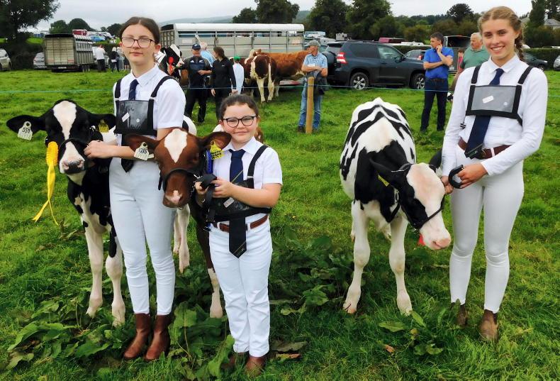 In pictures: winners and visitors to Bansha Show In pictures: winners and visitors to Bansha Show