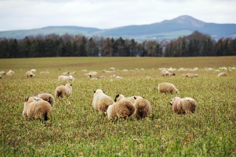 IFA calls for extension to upcoming ACRES deadlines IFA calls for extension to upcoming ACRES deadlines