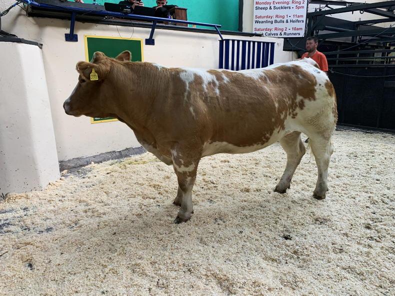 MartBids Database: forward stores on fire MartBids Database: forward stores on fire