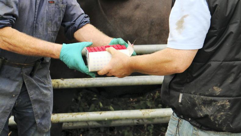 IBR testing in National Beef Welfare Scheme a 'serious mistake' - IFA IBR testing in National Beef Welfare Scheme a 'serious mistake' - IFA