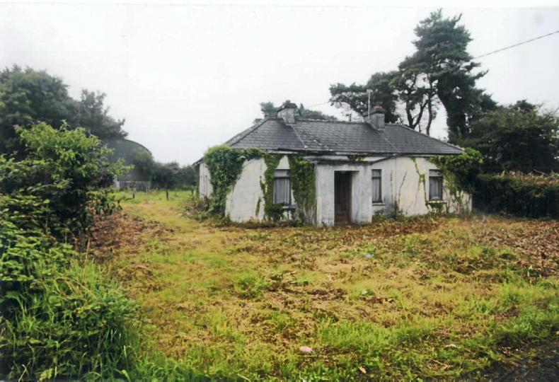 Lands for auction in Carlow and Roscommon Lands for auction in Carlow and Roscommon