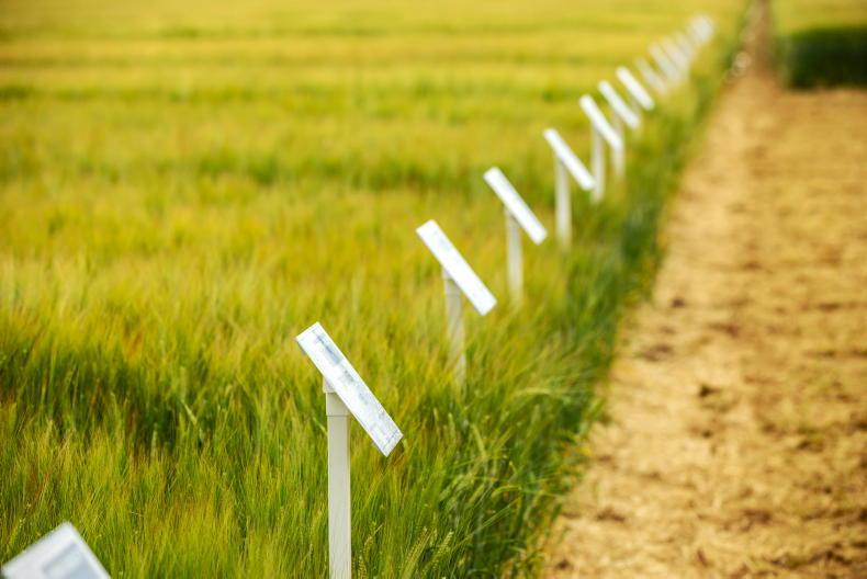 Crops event to focus on varieties and future of tillage this week Crops event to focus on varieties and future of tillage this week