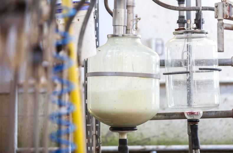 Marked drop in milk supplies this year Marked drop in milk supplies this year