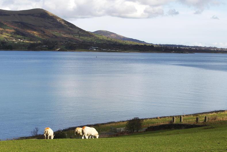 ACRES to reopen in mid-October - IFA ACRES to reopen in mid-October - IFA