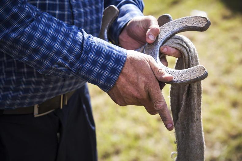 Farmers and processors need good planning or good luck Farmers and processors need good planning or good luck