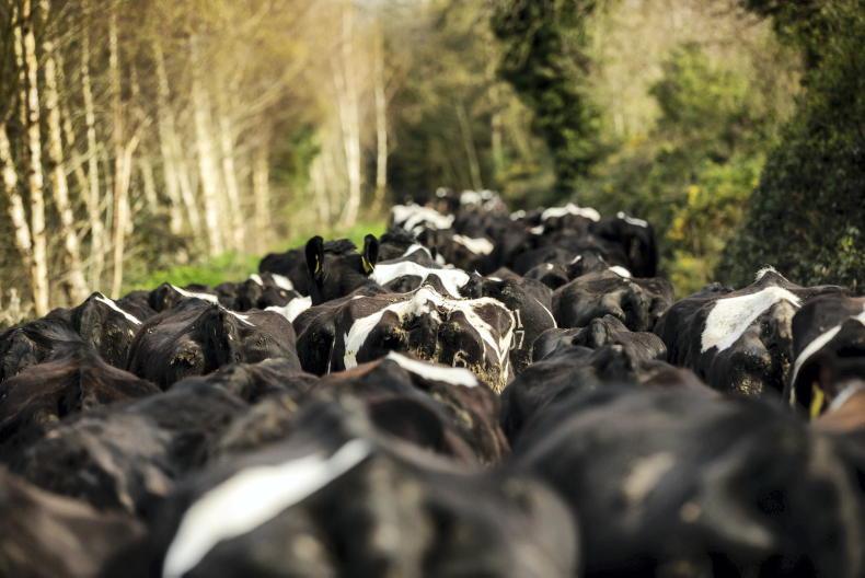 Second sweep of 220kg N/ha derogation cuts possible in 2025 Second sweep of 220kg N/ha derogation cuts possible in 2025