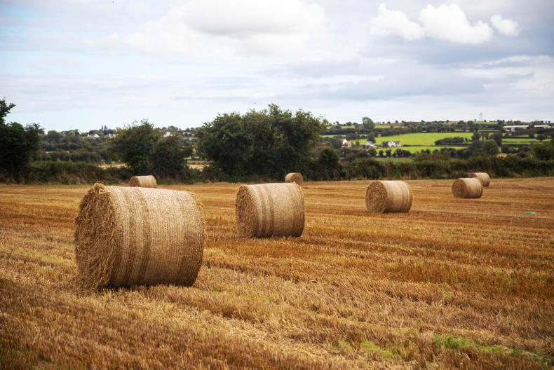 Sweetman lodges 24 farm-related planning appeals in 13 months Sweetman lodges 24 farm-related planning appeals in 13 months