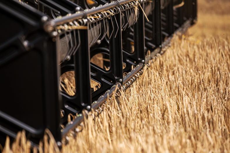 Grain Trends: dry weather tightens wheat, but volatility remains Grain Trends: dry weather tightens wheat, but volatility remains