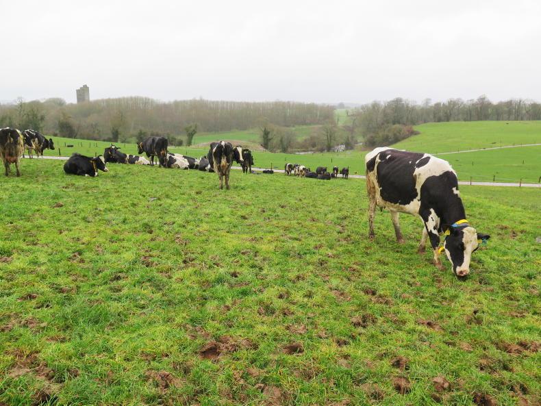 Challenging grazing conditions hit hard Challenging grazing conditions hit hard