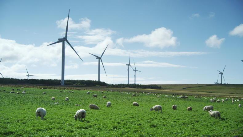 Environmental NGOs and renewable sector join for pre-budget calls Environmental NGOs and renewable sector join for pre-budget calls
