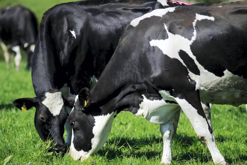 Agri jobs: dairy roles in Tipperary and Kilkenny Agri jobs: dairy roles in Tipperary and Kilkenny