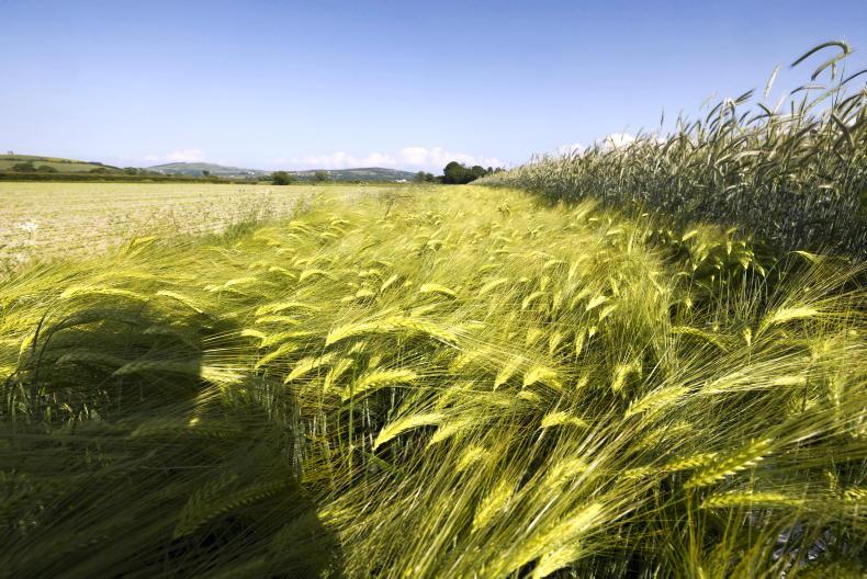 Licensing farmers must be investigated
Licensing farmers must be investigated