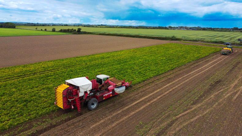 Blackwater Valley production of chipping potatoes up by 40% Blackwater Valley production of chipping potatoes up by 40%