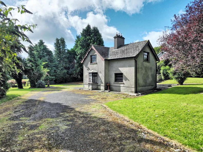Property: 52ac of good land for auction in Meath Property: 52ac of good land for auction in Meath