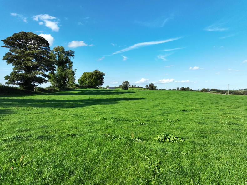 Property: 52ac of good land for auction in Meath Property: 52ac of good land for auction in Meath