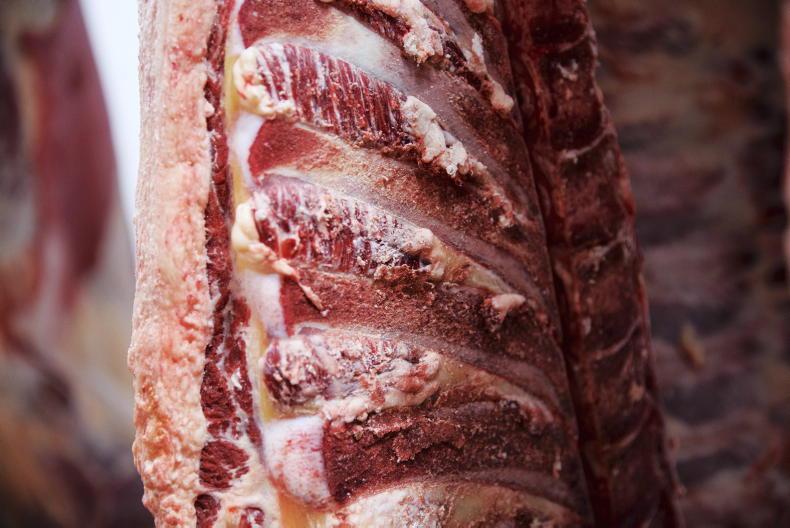 Demand for protein rich food to jump 78% by 2050 Demand for protein rich food to jump 78% by 2050