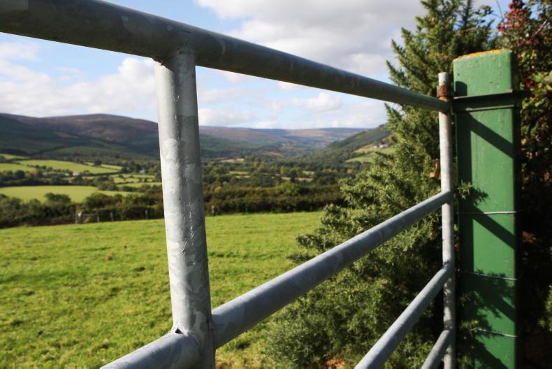 Emissions from dairy, cattle, sheep and tillage farms fell in 2022 – Teagasc Emissions from dairy, cattle, sheep and tillage farms fell in 2022 – Teagasc