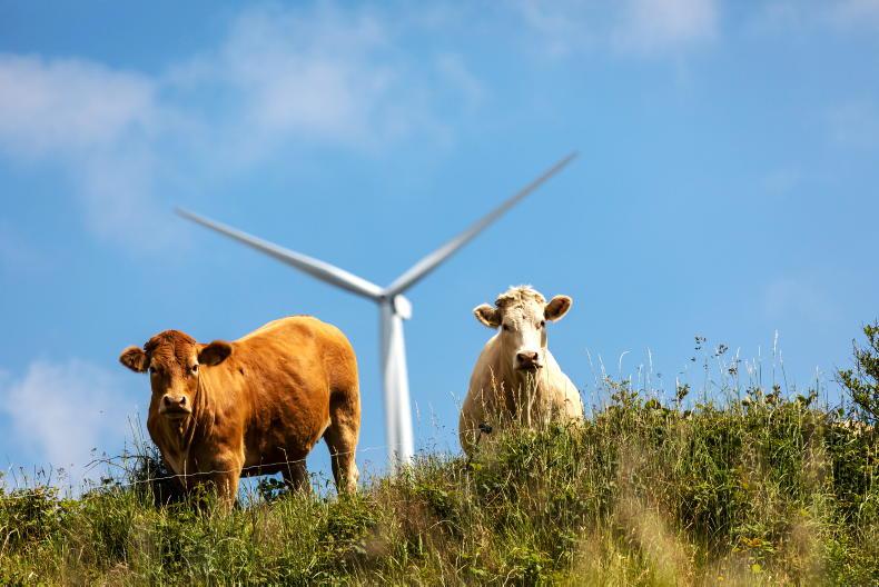 Budget 2024 falls short for renewables Budget 2024 falls short for renewables