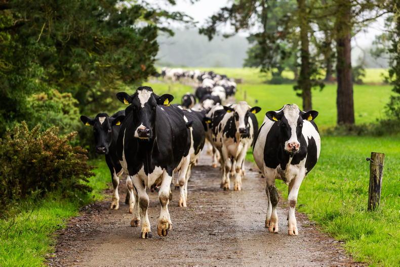 NI milk prices unchanged for September NI milk prices unchanged for September