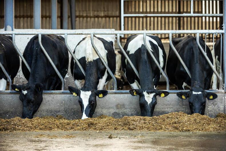 Dairy Management: nitrates, winter milk and bad weather Dairy Management: nitrates, winter milk and bad weather