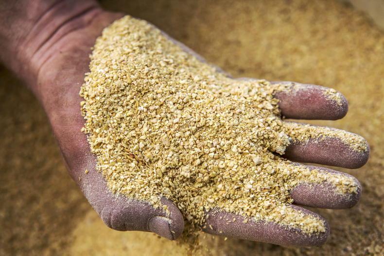 Grain Trends: wheat steady as soya jumps Grain Trends: wheat steady as soya jumps