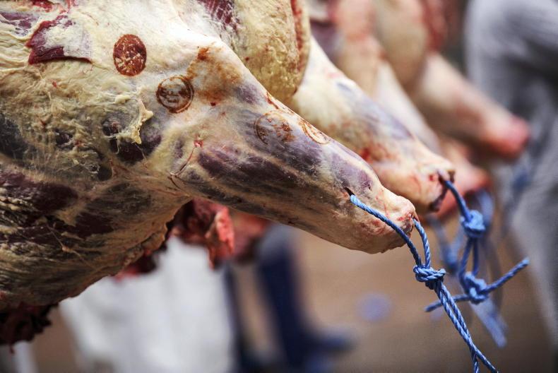 Sheep Trends: prices stable as quality lambs remain scarce Sheep Trends: prices stable as quality lambs remain scarce