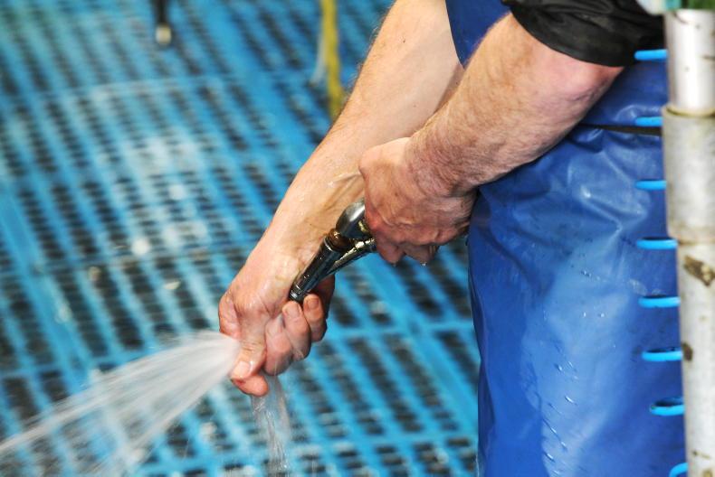 119-cow dairy farm can be managed on 54-hour working week - Teagasc study 119-cow dairy farm can be managed on 54-hour working week - Teagasc study