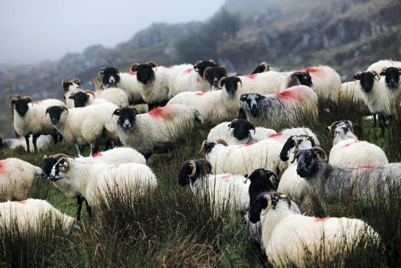 €183m in eco scheme payments released €183m in eco scheme payments released