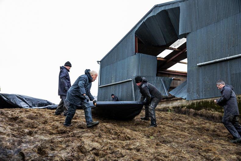 Storm Debi: wind warning upgraded to status red in five counties Storm Debi: wind warning upgraded to status red in five counties