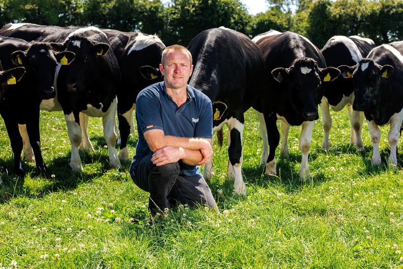 Denis Drennan confirmed as new ICMSA president at AGM Denis Drennan confirmed as new ICMSA president at AGM