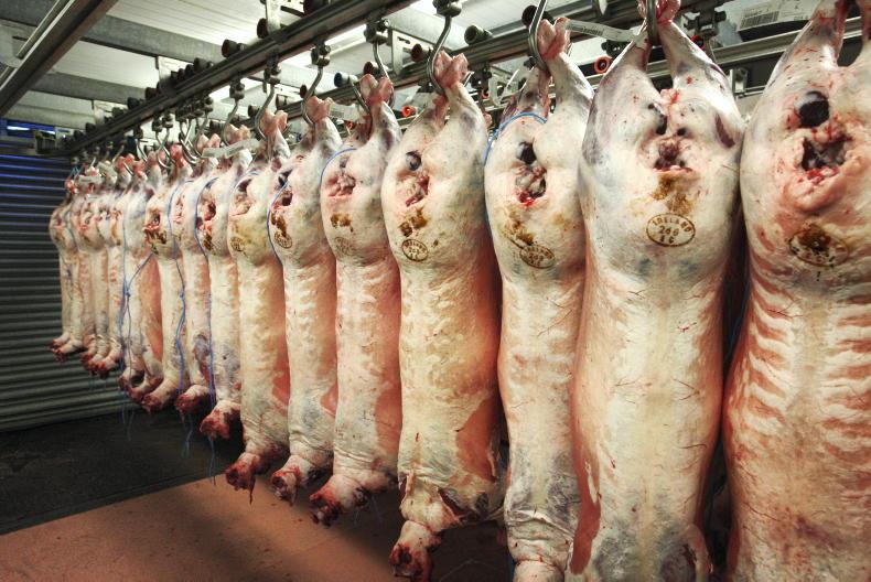 Sheep Trends: trade steady entering Christmas period Sheep Trends: trade steady entering Christmas period