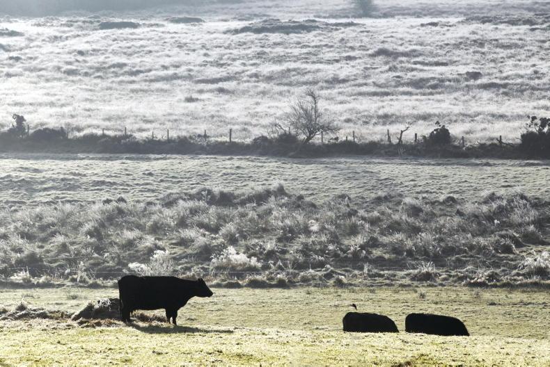 Weekend weather: overnight temperatures of -4°C Weekend weather: overnight temperatures of -4°C