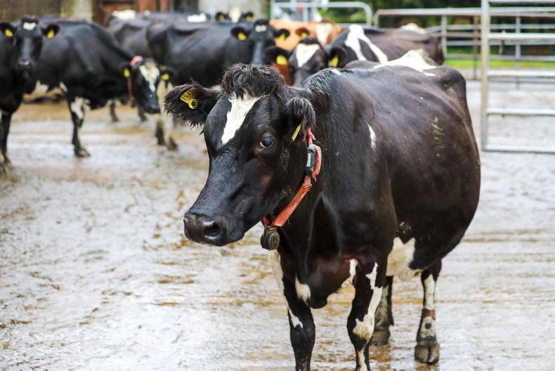 Some milk processors face year of being squeezed on two fronts Some milk processors face year of being squeezed on two fronts